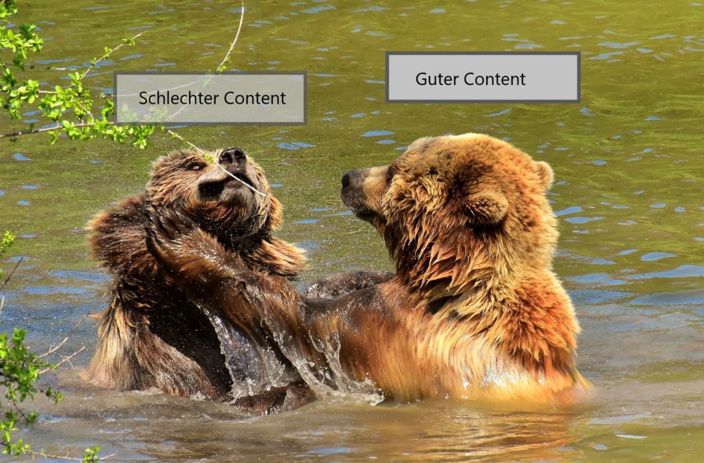 Der Contentbär kämpft mit seinem Bruder schlechter Content, für guten Content